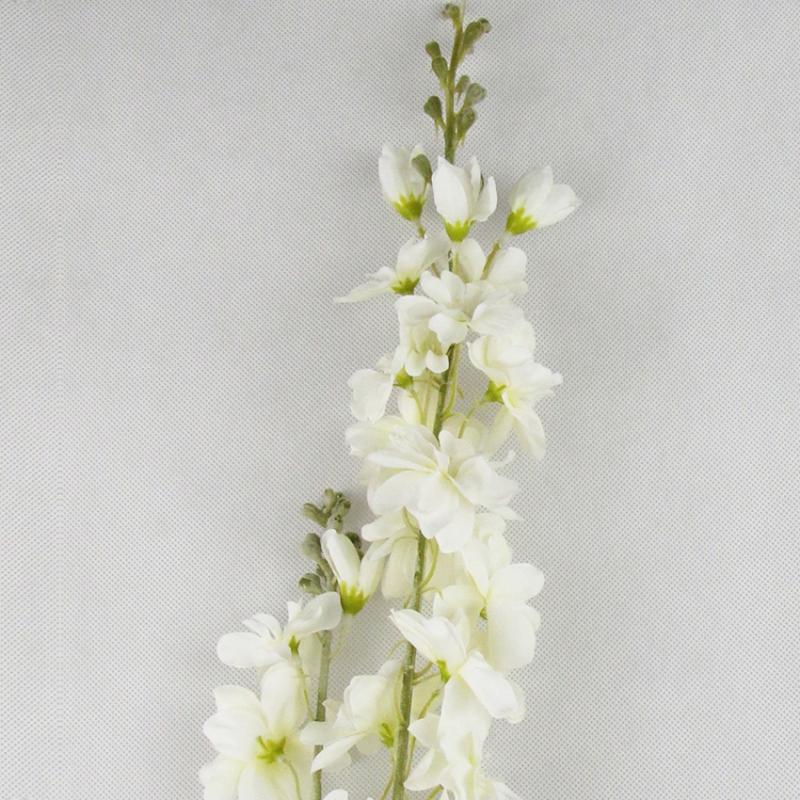 Lewkonia gałązka kwiaty białe